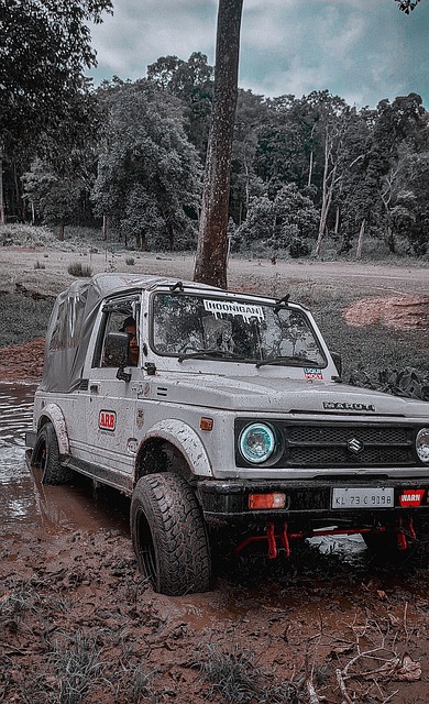 的再次發生 的再次發生