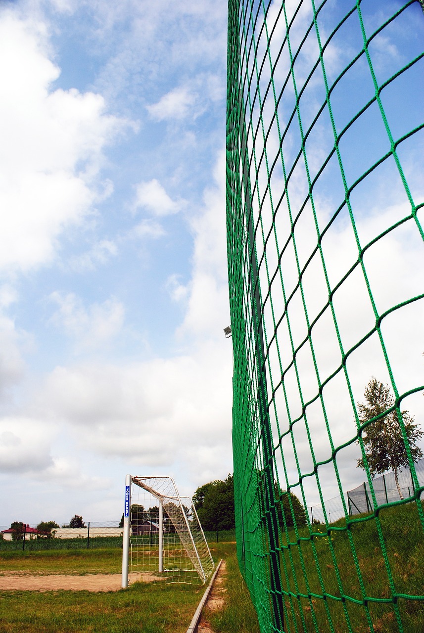 但一直赢得 但一直赢得