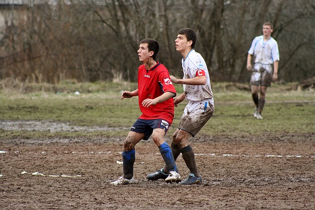 社会的责任 社会的责任